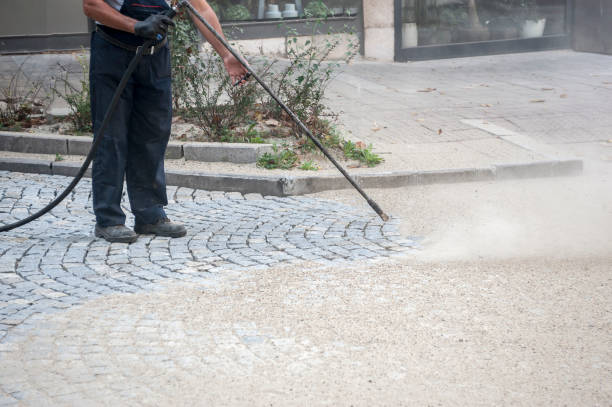 Best Spring Cleaning  in Wahneta, FL